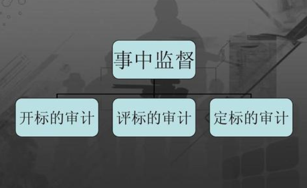 招投標(biāo)審計(jì)